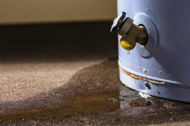 Best Local water damage restoration  in Ortonville, MI