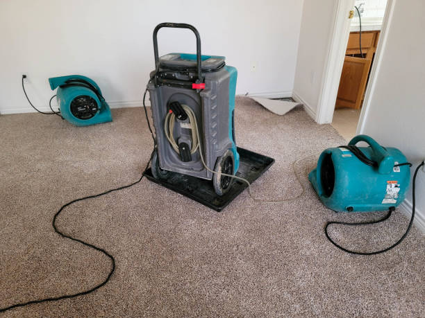 Carpet water damage restoration in MI