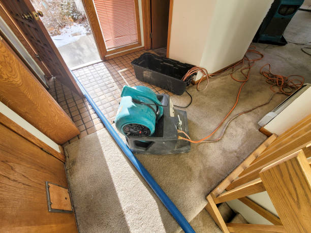 Best Water damage restoration near me  in Ortonville, MI