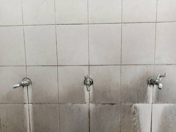 Best Water damage restoration insurance claims  in Ortonville, MI